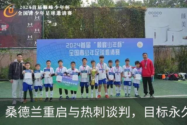桑德兰重启与热刺谈判，目标永久签下后卫丹索